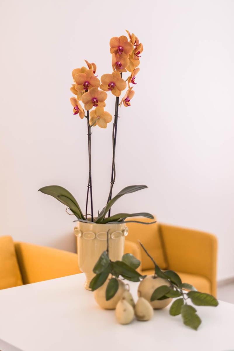 Apartmán Le Residenze Di Don Nino Lecce Exteriér fotografie
